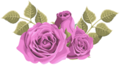 bcb20488 (240x130, 42Kb)