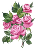 ioi0 (111) (122x160, 42Kb)
